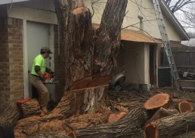 A large tree has been mostly cut down, with a worker using a chainsaw on the remaining stump and numerous logs and wood debris scattered around a house