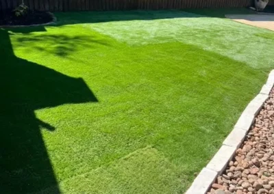 A large tree with numerous branches and green leaves stands tall against a partly cloudy sky, with a residential house visible behind it