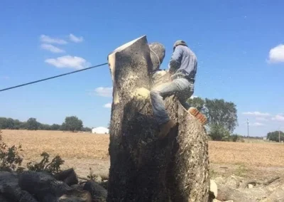 A person is cutting into a large tree stump with a chainsaw, secured by ropes, with a wide-open field and clear blue sky in the background, surrounded by cut logs