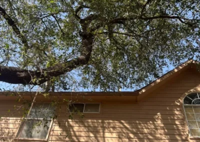 A person wearing a lime green shirt and protective gear is using a chainsaw to cut a large tree trunk into smaller pieces, surrounded by wood chips and other cut logs