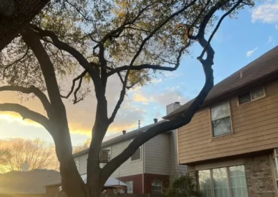 A tree stands in front of a house, with branches reaching out towards the sky, while clouds drift overhead