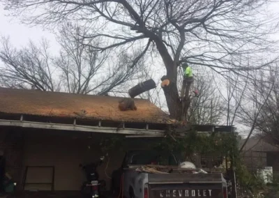 A worker in a bright yellow shirt is high up in a bare tree, cutting branches over a damaged roof