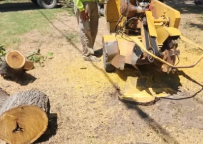 A worker in a straw hat and bright yellow shirt stands next to a yellow stump grinder, surrounded by wood chips and cut logs, with a tree service truck in the background
