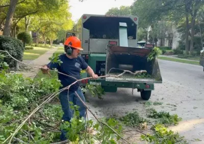 A worker wearing an orange hard hat and ear protection is feeding branches into a green wood chipper parked on a residential street