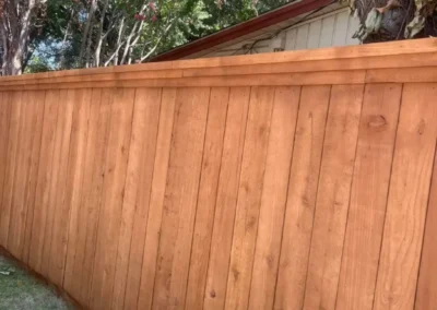An image of a wooden fence in a yard, surrounded by plants and trees