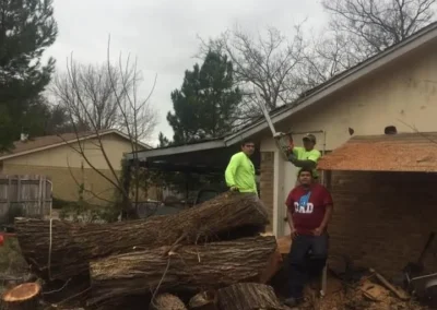 Three workers are in a backyard with a large pile of cut logs
