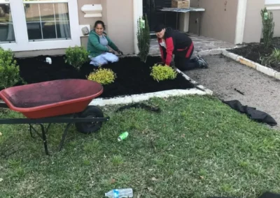 Two individuals are gardening in front of a house, surrounded by freshly mulched flower beds and a wheelbarrow nearby