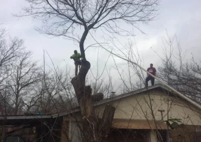 Two workers are positioned in a bare tree and on a house roof, surrounded by brush and an old vehicle, under a drab sky, performing tree removal