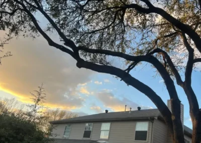View of a backyard with a large tree branch arching over a house, vibrant sunset clouds in the sky, and a patio umbrella below